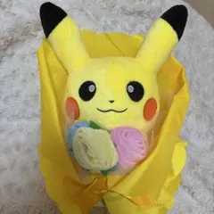 ポケモンセンター マンスリーペア ピカチュウ 2月 ぬいぐるみ - メルカリ