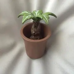 ハリーポッター ミニチュアコレクション マンドレイク