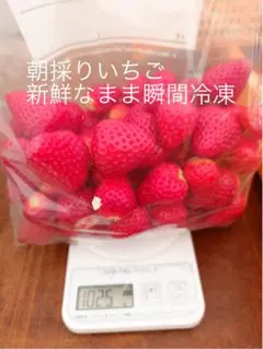 2026年最新】古都華 いちごの人気アイテム - メルカリ