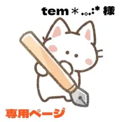tem✽.。.:*様 リクエスト 3点 まとめ商品