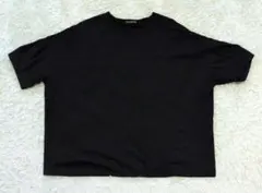 mizuiro ind ミズイロインド　vネック　ワイド半袖カットソー　黒