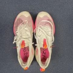 ナイキ　エアズームアルファフライ ネクスト% 24.5cm