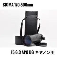 2026年最新】APO 170-500mm F5-6.3 DGの人気アイテム - メルカリ