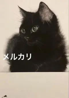 猫　水彩画　原画