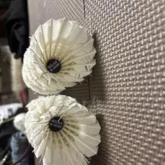 Item thumbnail for item 5d28f80c-d29f-4c44-be50-baa6a2855084