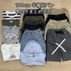 【まとめ売り13点】子ども服　100cm 男の子　半そで短パン　薄手カーディガン