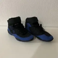 Item thumbnail for item 4f6b03fa-9f6d-46e3-b547-f134df309082