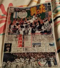 Item thumbnail for item 9ccfc99d-455c-4c54-9055-d8a74cac8960