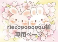 専用ページです⋈*.。