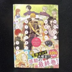 ある日、お姫様になってしまった件について 13