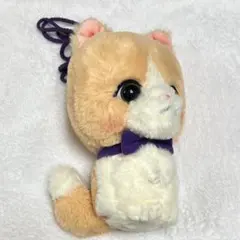 藤原樹 メンプロ おでかけマース