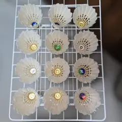 Item thumbnail for item 06894a3b-f36d-4efa-9272-8222d85980f0