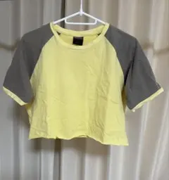 NIKE イエロー/グレー ラグランスリーブ クロップドTシャツ