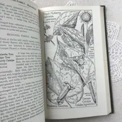 2026年最新】洋書 アンティーク 植物図鑑の人気アイテム - メルカリ