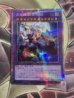 SR天命の恵み 三国志大戦TCG 第16弾 16-079 トレーディングカード