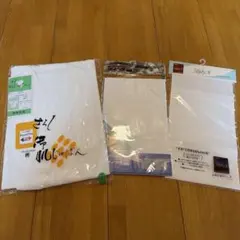 Item thumbnail for item 93a83202-176d-4872-a6e8-1323107faf82