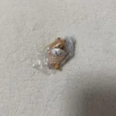 SKZOO つまんでつなげてますこっと リービット