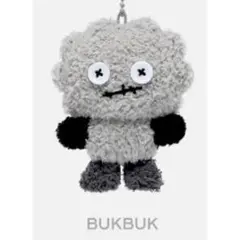 【値下げ】ボクシリ　10cmドール KEY SHINee ボクシリ ランダム10cmドール(BUKBUK) - メルカリ