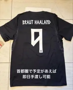 ノルウェー代表 アウェイ オーセンティック ユニフォーム #9
