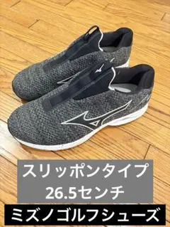 2025年最新】MIZUNO GOLF ゴルフ シューズ(男性用)の人気
