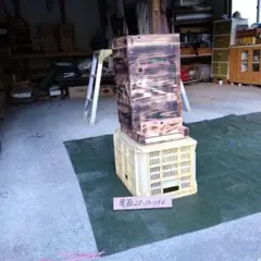 Item thumbnail for item 6a6b9e41-5aa8-4909-b823-b3d87710cb1a