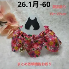 Item thumbnail for item 9e28387a-dd21-40f3-9466-ce96a14418a2