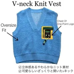 オーバーサイズ vネック　ニット　ベスト　胸元ロゴ　秋　冬　裏原　韓国　中国　M