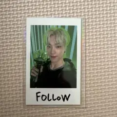 SEVENTEEN インスタントフォト ディノ