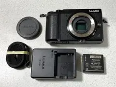 2026年最新】Lumix gx7の人気アイテム - メルカリ