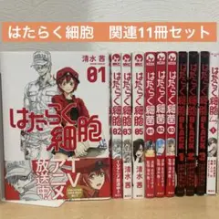 はたらく細胞　非全巻　関連11冊セット　清水茜　即購入OK 漫画　コミック
