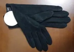 Item thumbnail for item 0dea7a7b-2808-4b03-8f52-048bea011c1e