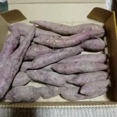 徳島県産　鳴門金時　さつまいも 箱込み　約１キロ　大きさ不揃い　小さめのサムネイル