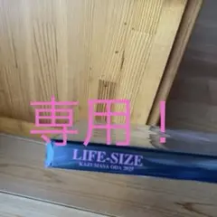 M・ Sさま専用です