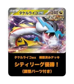 【お得な調整パーツ付❗️】タケルライコex　構築済みデッキ　シティリーグ優勝‼️