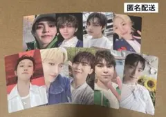 SEVENTEEN メンバーシップキット トレカセット セブチ