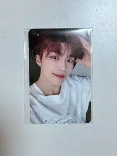 zb1 MnetPlusMerch 犬耳トレカ　ゴヌク