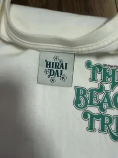 平井大 THE BEACH TRIP 2023 ROCK Tシャツ M 사이즈