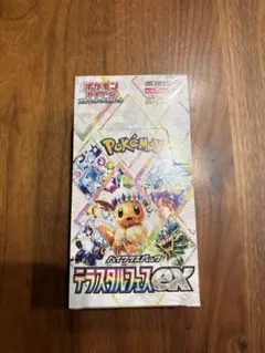 2026年最新】シュリンク テラスタルフェスの人気アイテム - メルカリ