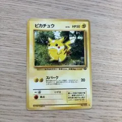 2026年最新】ジャングルピカチュウの人気アイテム - メルカリ