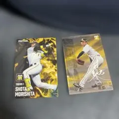 阪神タイガース スターカードセット