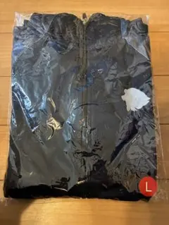 Item thumbnail for item f3115135-09db-4bb0-a42b-2342c4ea545f