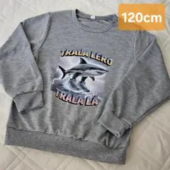 イタリアンブレインロット　薄手トレーナー