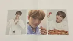 SEVENTEEN セブチ Ode to You ジョシュア トレカ