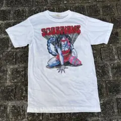 80年代ビンテージ SCORPIONS 1984年U.S.ツアー Tシャツ