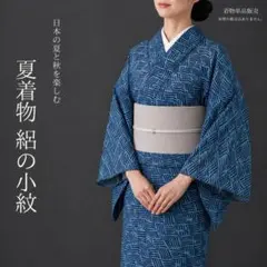 【夏157】夏着物 絽 小紋 単衣 紺 対象身長～161cm 単品販売 送料無料のサムネイル