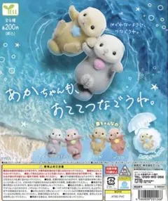らっこ ますかっと そーだ