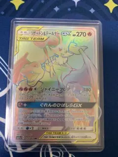 2026年最新】リザードン&テールナーgxの人気アイテム - メルカリ