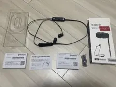 Item thumbnail for item c4c056c2-1530-44cf-ab6d-0465df23072a