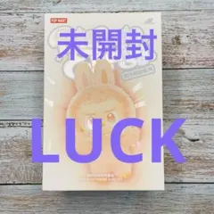 【POPMART購入品】　ラブブ　エナジー　　LUCK 未開封