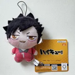 ハイキュー!! 黒尾鉄朗 ちょぴぬいぷち②